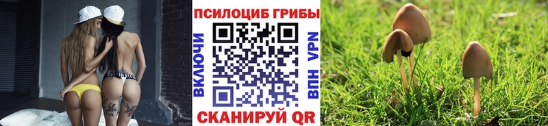 Псилоцибиновые грибы MAGIC MUSHROOMS  Электроугли 